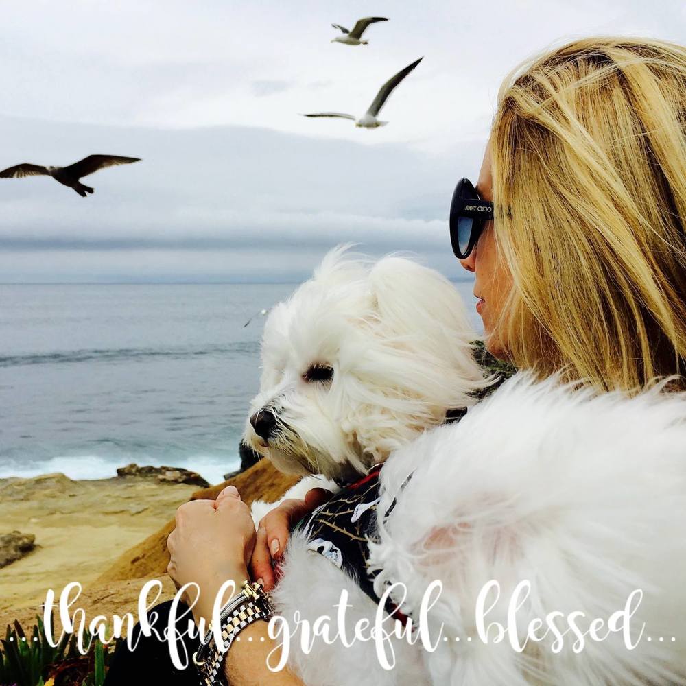 Meet your Posher, Laney